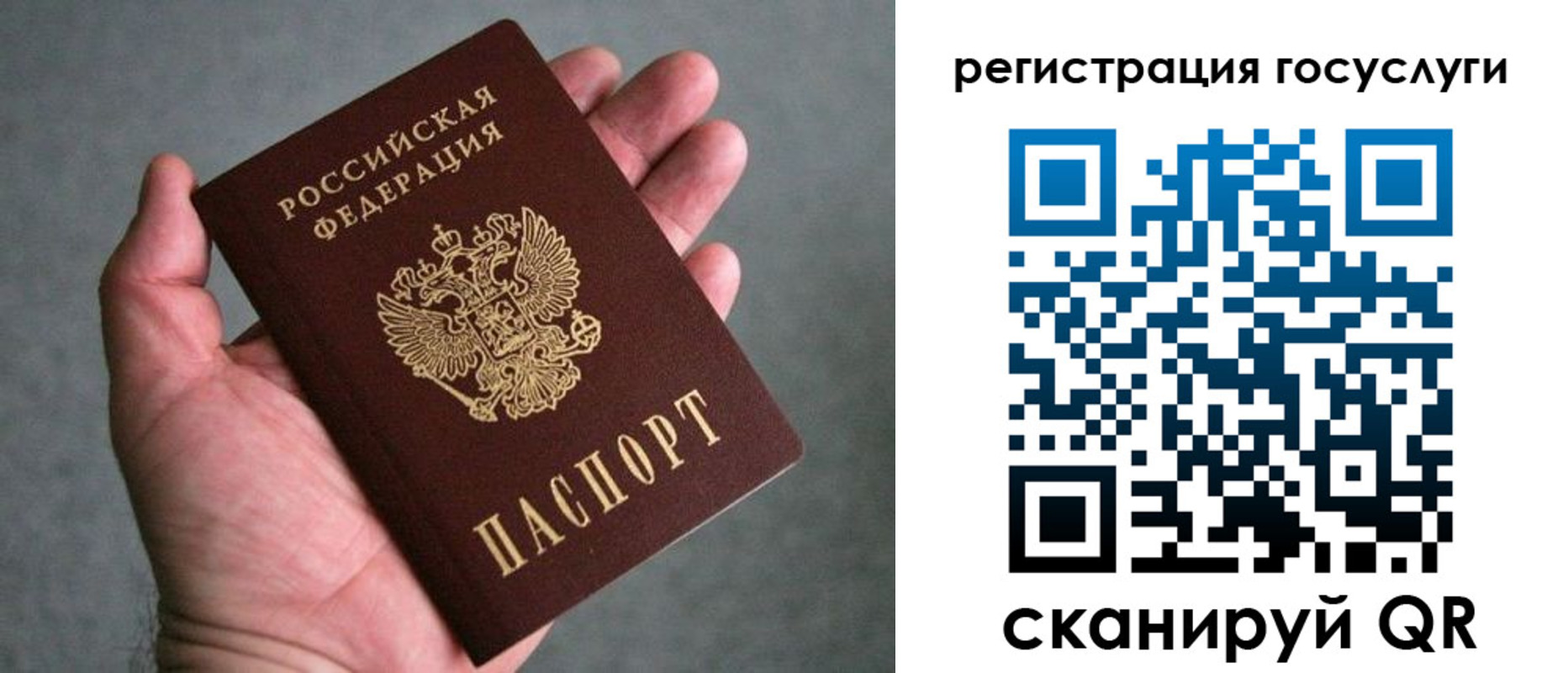прописка поиск в Пестово